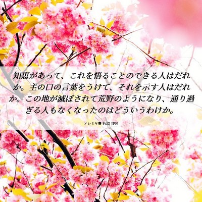 Picture 06 - エレミヤ書 9:12 JPN - 知恵があって、これを悟ることので - Bible Verse Picture