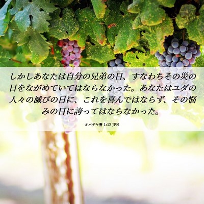 Picture 06 - オバデヤ書 1:12 JPN - しかしあなたは自分の兄弟の日、す - Bible Verse Picture