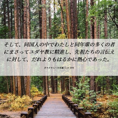 Picture 06 - ガラテヤ人への手紙 1:14 JPN - そして、同国人の中でわたしと同年 - Bible Verse Picture