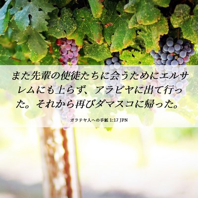 Picture 06 - ガラテヤ人への手紙 1:17 JPN - また先輩の使徒たちに会うためにエ - Bible Verse Picture
