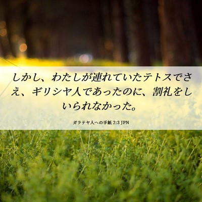 Picture 06 - ガラテヤ人への手紙 2:3 JPN - しかし、わたしが連れていたテトス - Bible Verse Picture