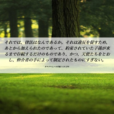 Picture 06 - ガラテヤ人への手紙 3:19 JPN - それでは、律法はなんであるか。そ - Bible Verse Picture