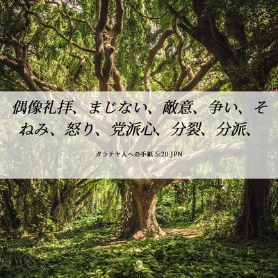 Picture 06 - ガラテヤ人への手紙 5:20 JPN - 偶像礼拝、まじない、敵意、争い、 - Bible Verse Picture