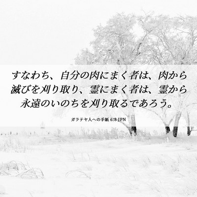 Picture 06 - ガラテヤ人への手紙 6:8 JPN - すなわち、自分の肉にまく者は、肉 - Bible Verse Picture