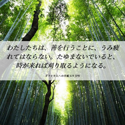 Picture 06 - ガラテヤ人への手紙 6:9 JPN - わたしたちは、善を行うことに、う - Bible Verse Picture