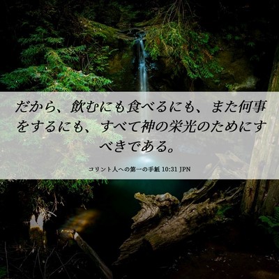 Picture 06 - コリント人への第一の手紙 10:31 JPN - だから、飲むにも食べるにも、また - Bible Verse Picture