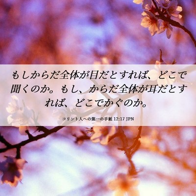 Picture 06 - コリント人への第一の手紙 12:17 JPN - もしからだ全体が目だとすれば、ど - Bible Verse Picture