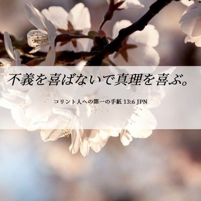Picture 06 - コリント人への第一の手紙 13:6 JPN - 不義を喜ばないで真理を喜ぶ。 - Bible Verse Picture