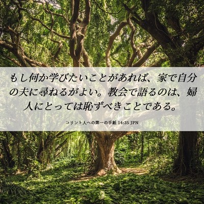Picture 06 - コリント人への第一の手紙 14:35 JPN - もし何か学びたいことがあれば、家 - Bible Verse Picture