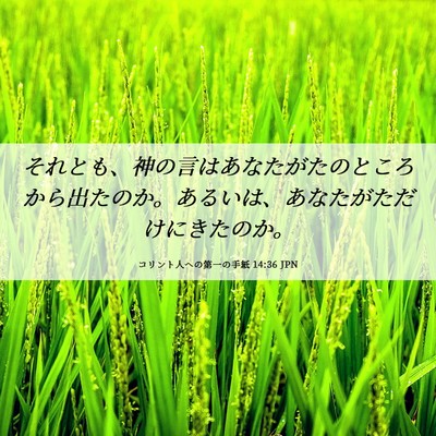 Picture 06 - コリント人への第一の手紙 14:36 JPN - それとも、神の言はあなたがたのと - Bible Verse Picture