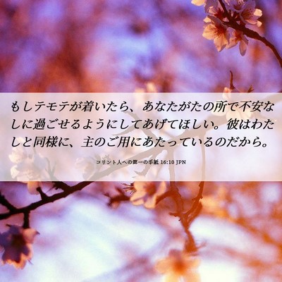 Picture 06 - コリント人への第一の手紙 16:10 JPN - もしテモテが着いたら、あなたがた - Bible Verse Picture