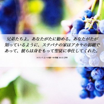 Picture 06 - コリント人への第一の手紙 16:15 JPN - 兄弟たちよ。あなたがたに勧める。 - Bible Verse Picture