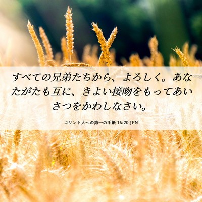 Picture 06 - コリント人への第一の手紙 16:20 JPN - すべての兄弟たちから、よろしく。 - Bible Verse Picture