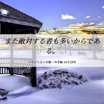 Picture 06 - コリント人への第一の手紙 16:9 JPN - また敵対する者も多いからである。 - Bible Verse Picture