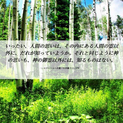 Picture 06 - コリント人への第一の手紙 2:11 JPN - いったい、人間の思いは、その内に - Bible Verse Picture