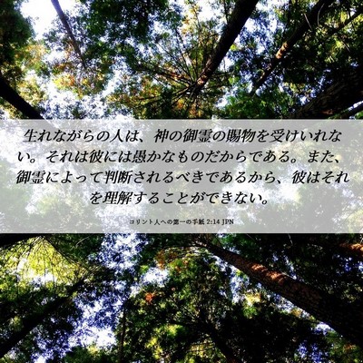 Picture 06 - コリント人への第一の手紙 2:14 JPN - 生れながらの人は、神の御霊の賜物 - Bible Verse Picture