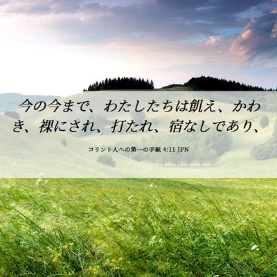 Picture 06 - コリント人への第一の手紙 4:11 JPN - 今の今まで、わたしたちは飢え、か - Bible Verse Picture