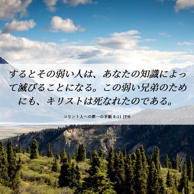 Picture 06 - コリント人への第一の手紙 8:11 JPN - するとその弱い人は、あなたの知識 - Bible Verse Picture