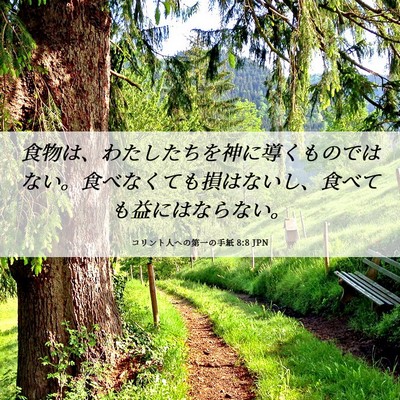 Picture 06 - コリント人への第一の手紙 8:8 JPN - 食物は、わたしたちを神に導くもの - Bible Verse Picture