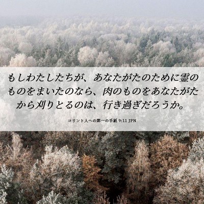 Picture 06 - コリント人への第一の手紙 9:11 JPN - もしわたしたちが、あなたがたのた - Bible Verse Picture