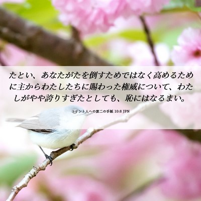 Picture 06 - コリント人への第二の手紙 10:8 JPN - たとい、あなたがたを倒すためでは - Bible Verse Picture