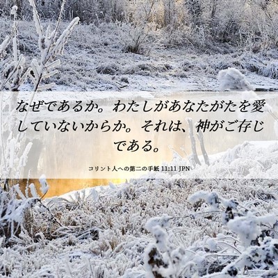 Picture 06 - コリント人への第二の手紙 11:11 JPN - なぜであるか。わたしがあなたがた - Bible Verse Picture