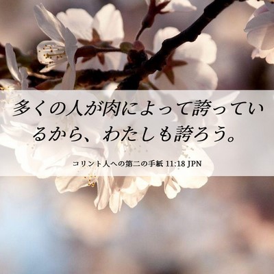 Picture 06 - コリント人への第二の手紙 11:18 JPN - 多くの人が肉によって誇っているか - Bible Verse Picture