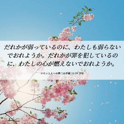 Picture 06 - コリント人への第二の手紙 11:29 JPN - だれかが弱っているのに、わたしも - Bible Verse Picture