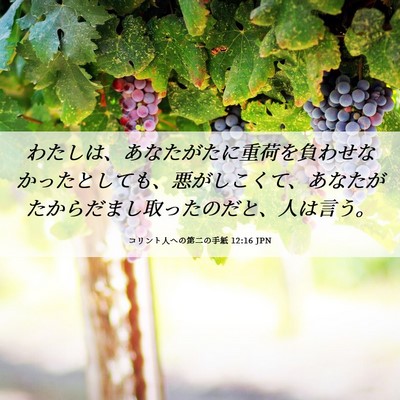 Picture 06 - コリント人への第二の手紙 12:16 JPN - わたしは、あなたがたに重荷を負わ - Bible Verse Picture