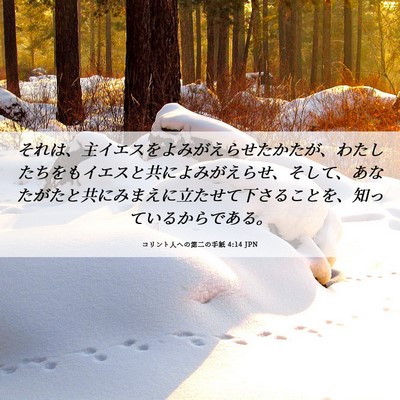 Picture 06 - コリント人への第二の手紙 4:14 JPN - それは、主イエスをよみがえらせた - Bible Verse Picture