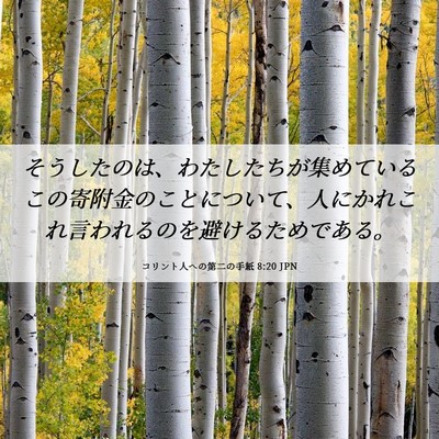 Picture 06 - コリント人への第二の手紙 8:20 JPN - そうしたのは、わたしたちが集めて - Bible Verse Picture