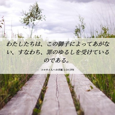 Picture 06 - コロサイ人への手紙 1:14 JPN - わたしたちは、この御子によってあ - Bible Verse Picture