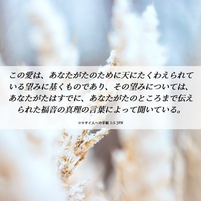 Picture 06 - コロサイ人への手紙 1:5 JPN - この愛は、あなたがたのために天に - Bible Verse Picture