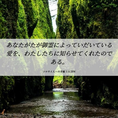 Picture 06 - コロサイ人への手紙 1:8 JPN - あなたがたが御霊によっていだいて - Bible Verse Picture