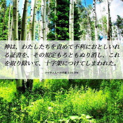 Picture 06 - コロサイ人への手紙 2:14 JPN - 神は、わたしたちを責めて不利にお - Bible Verse Picture