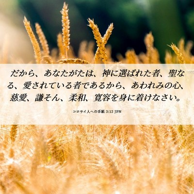 Picture 06 - コロサイ人への手紙 3:12 JPN - だから、あなたがたは、神に選ばれ - Bible Verse Picture