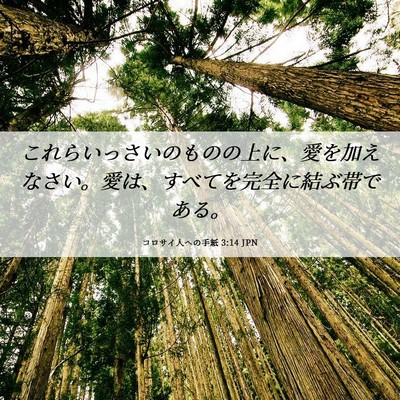Picture 06 - コロサイ人への手紙 3:14 JPN - これらいっさいのものの上に、愛を - Bible Verse Picture