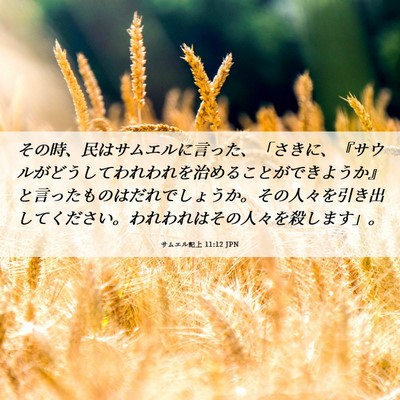 Picture 06 - サムエル記上 11:12 JPN - その時、民はサムエルに言った、「 - Bible Verse Picture