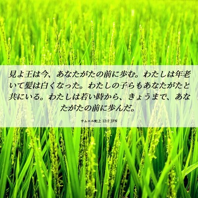 Picture 06 - サムエル記上 12:2 JPN - 見よ王は今、あなたがたの前に歩む - Bible Verse Picture