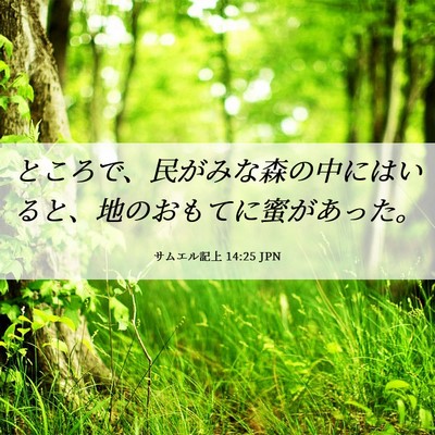 Picture 06 - サムエル記上 14:25 JPN - ところで、民がみな森の中にはいる - Bible Verse Picture