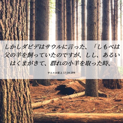 Picture 06 - サムエル記上 17:34 JPN - しかしダビデはサウルに言った、「 - Bible Verse Picture