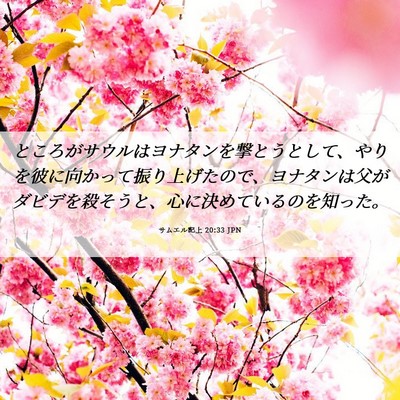 Picture 06 - サムエル記上 20:33 JPN - ところがサウルはヨナタンを撃とう - Bible Verse Picture