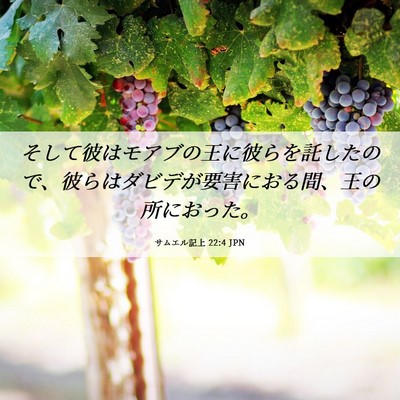 Picture 06 - サムエル記上 22:4 JPN - そして彼はモアブの王に彼らを託し - Bible Verse Picture