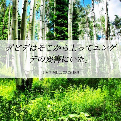 Picture 06 - サムエル記上 23:29 JPN - ダビデはそこから上ってエンゲデの - Bible Verse Picture
