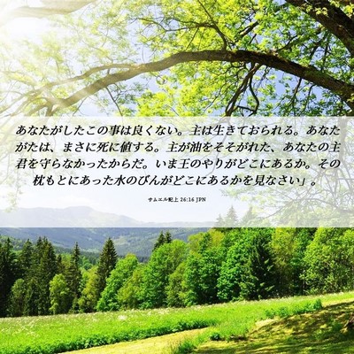 Picture 06 - サムエル記上 26:16 JPN - あなたがしたこの事は良くない。主 - Bible Verse Picture