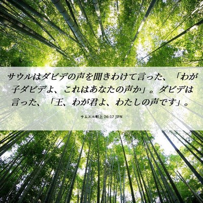 Picture 06 - サムエル記上 26:17 JPN - サウルはダビデの声を聞きわけて言 - Bible Verse Picture