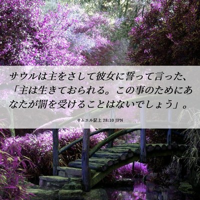 Picture 06 - サムエル記上 28:10 JPN - サウルは主をさして彼女に誓って言 - Bible Verse Picture