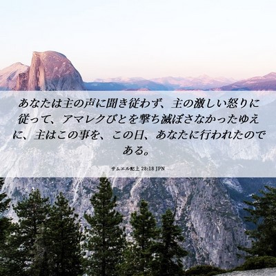 Picture 06 - サムエル記上 28:18 JPN - あなたは主の声に聞き従わず、主の - Bible Verse Picture