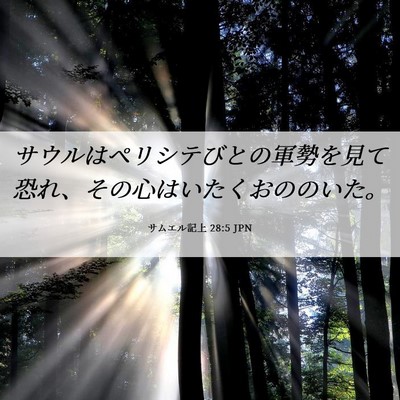 Picture 06 - サムエル記上 28:5 JPN - サウルはペリシテびとの軍勢を見て - Bible Verse Picture