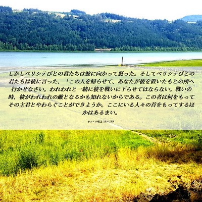 Picture 06 - サムエル記上 29:4 JPN - しかしペリシテびとの君たちは彼に - Bible Verse Picture